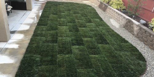 Sod Installation, Sod Installer, Sod Company, Sod Contractor