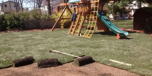 Sod Installation, Sod Installer, Sod Company, Sod Contractor