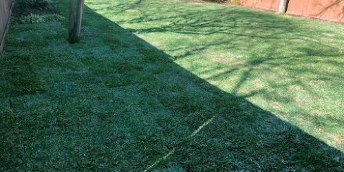Sod Installation, Sod Installer, Sod Company, Sod Contractor