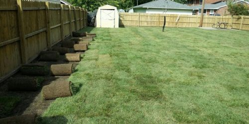 Sod Installation, Sod Installer, New Sod, Sod Company, Sod Contractor, Free Estimates