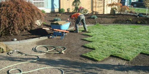 Sod Installation, Sod Installer, New Sod, Sod Company, Sod Contractor, Free Estimates